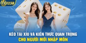 Kèo Tài Xỉu Và Kiến Thức Quan Trọng Cho Người Mới Nhập Môn